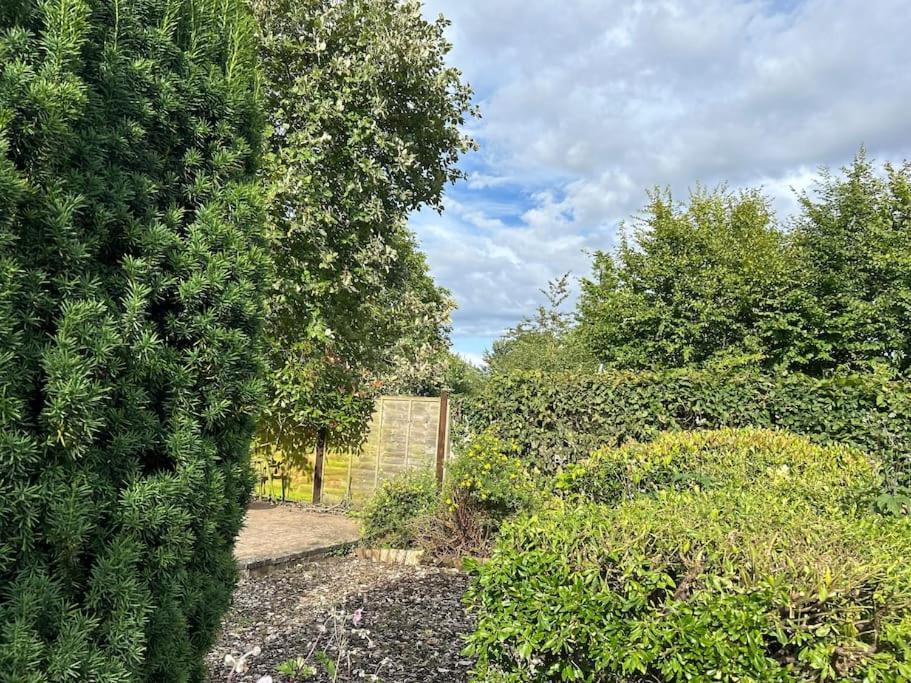 Abacus Cottage Whitwell-on-the-Hill Exterior photo